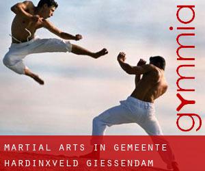 Martial Arts in Gemeente Hardinxveld-Giessendam