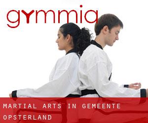 Martial Arts in Gemeente Opsterland