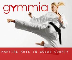Martial Arts in Goiás (County)