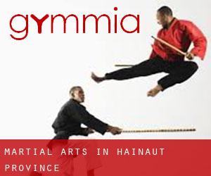 Martial Arts in Hainaut Province