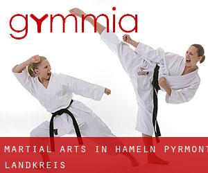Martial Arts in Hameln-Pyrmont Landkreis