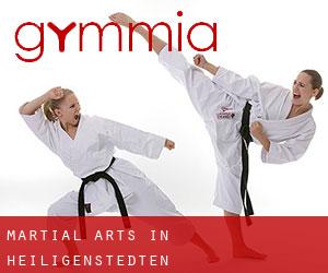 Martial Arts in Heiligenstedten