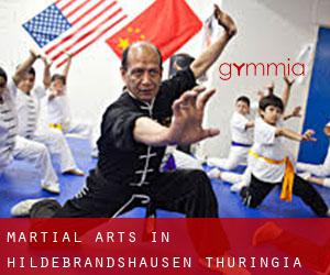 Martial Arts in Hildebrandshausen (Thuringia)