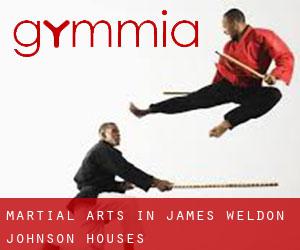 Martial Arts in James Weldon Johnson Houses
