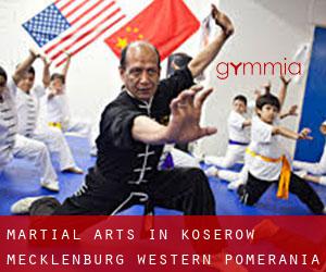 Martial Arts in Koserow (Mecklenburg-Western Pomerania)