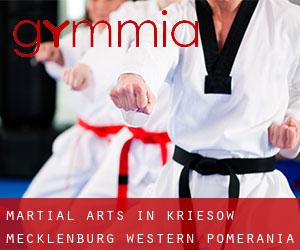 Martial Arts in Kriesow (Mecklenburg-Western Pomerania)