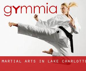 Martial Arts in Lake Charlotte