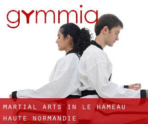 Martial Arts in Le Hameau (Haute-Normandie)