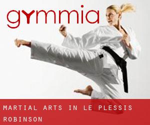 Martial Arts in Le Plessis-Robinson