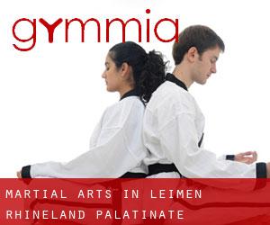 Martial Arts in Leimen (Rhineland-Palatinate)