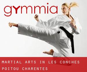 Martial Arts in Les Conches (Poitou-Charentes)