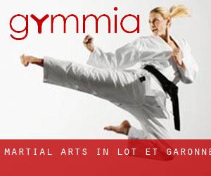 Martial Arts in Lot-et-Garonne
