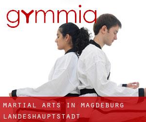 Martial Arts in Magdeburg Landeshauptstadt