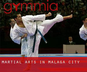 Martial Arts in Málaga (City)