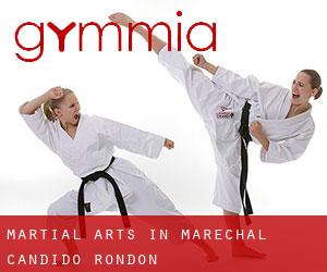 Martial Arts in Marechal Cândido Rondon