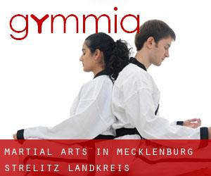 Martial Arts in Mecklenburg-Strelitz Landkreis