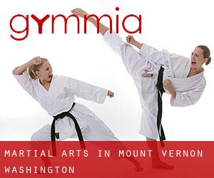 Martial Arts in Mount Vernon (Washington)