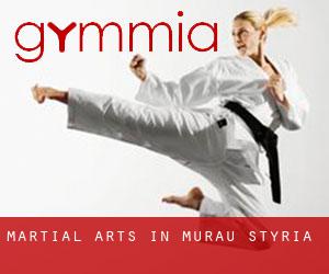 Martial Arts in Murau (Styria)