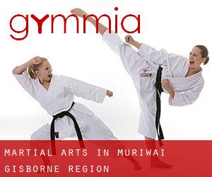 Martial Arts in Muriwai (Gisborne Region)