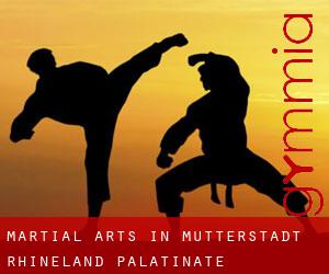 Martial Arts in Mutterstadt (Rhineland-Palatinate)