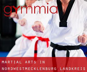 Martial Arts in Nordwestmecklenburg Landkreis
