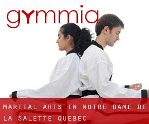 Martial Arts in Notre-Dame-de-la-Salette (Quebec)