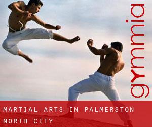 Martial Arts in Palmerston North City