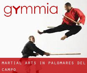 Martial Arts in Palomares del Campo
