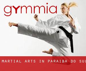 Martial Arts in Paraíba do Sul