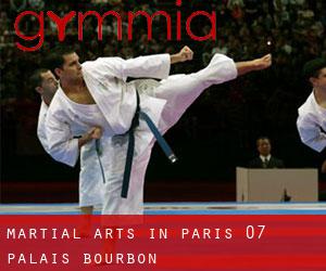 Martial Arts in Paris 07 Palais-Bourbon
