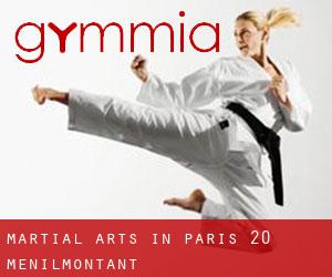 Martial Arts in Paris 20 Ménilmontant