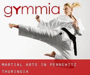 Martial Arts in Pennewitz (Thuringia)