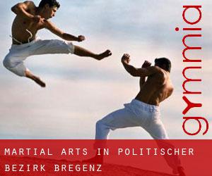 Martial Arts in Politischer Bezirk Bregenz