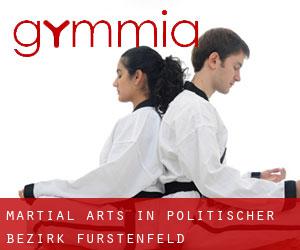 Martial Arts in Politischer Bezirk Fürstenfeld