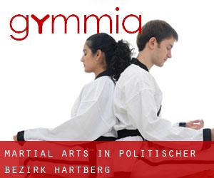 Martial Arts in Politischer Bezirk Hartberg