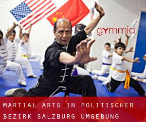 Martial Arts in Politischer Bezirk Salzburg Umgebung