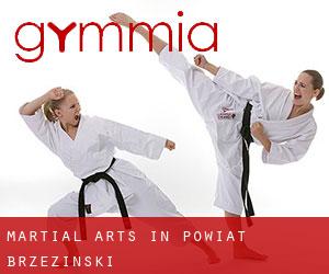 Martial Arts in Powiat brzeziński
