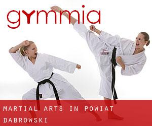 Martial Arts in Powiat dąbrowski