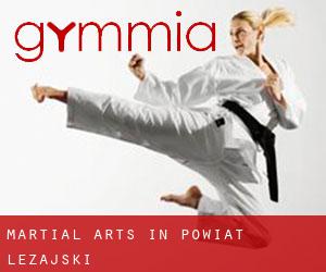 Martial Arts in Powiat leżajski