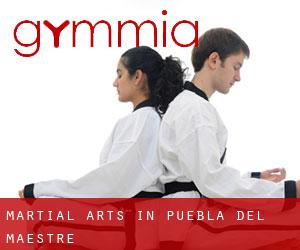 Martial Arts in Puebla del Maestre