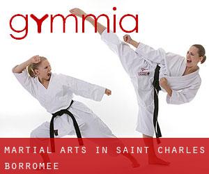 Martial Arts in Saint-Charles-Borromée