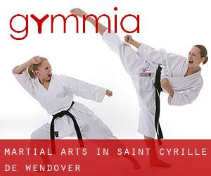 Martial Arts in Saint-Cyrille-de-Wendover