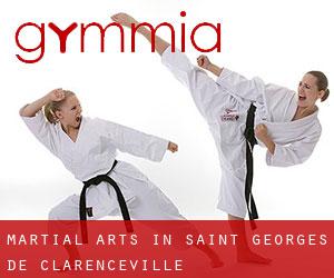 Martial Arts in Saint-Georges-de-Clarenceville