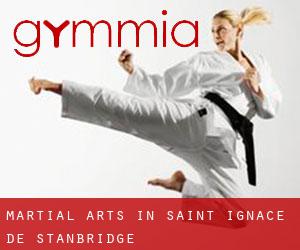 Martial Arts in Saint-Ignace-de-Stanbridge