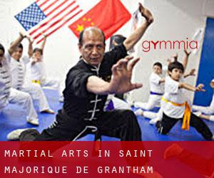 Martial Arts in Saint-Majorique-de-Grantham