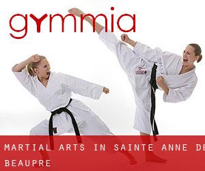 Martial Arts in Sainte-Anne-de-Beaupré