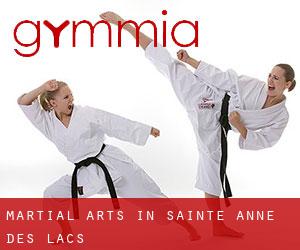 Martial Arts in Sainte-Anne-des-Lacs