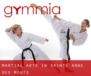 Martial Arts in Sainte-Anne-des-Monts