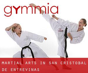 Martial Arts in San Cristóbal de Entreviñas