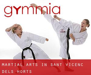Martial Arts in Sant Vicenç dels Horts